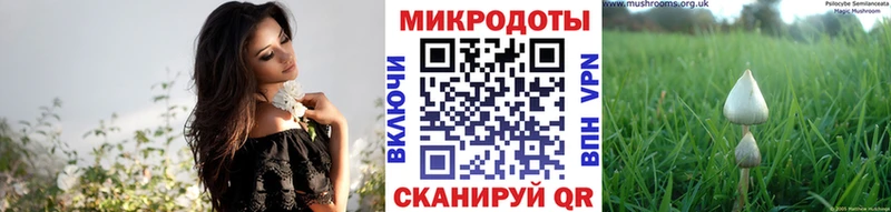 купить наркотик  кракен ссылки  Галлюциногенные грибы мухоморы  Сорочинск 