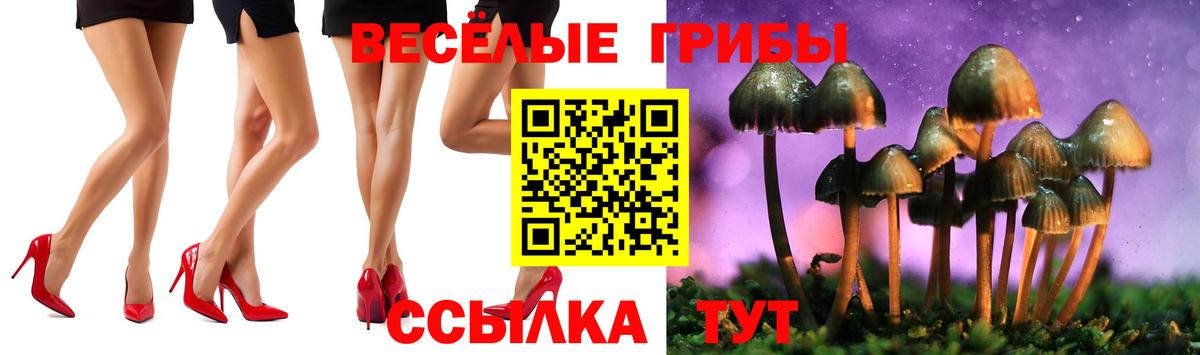 Псилоцибиновые грибы ЛСД Сорочинск